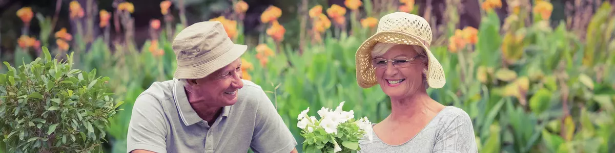 Senior man and woman gardening with many flowerpots . Homme et femme seniors jardinant avec de nombreux pots de fleurs